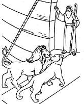 coloriage le couple de lion entrant dans l arche de noe